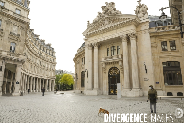 Ouverture de la bourse du commerce, nouveau musee de francois pinault