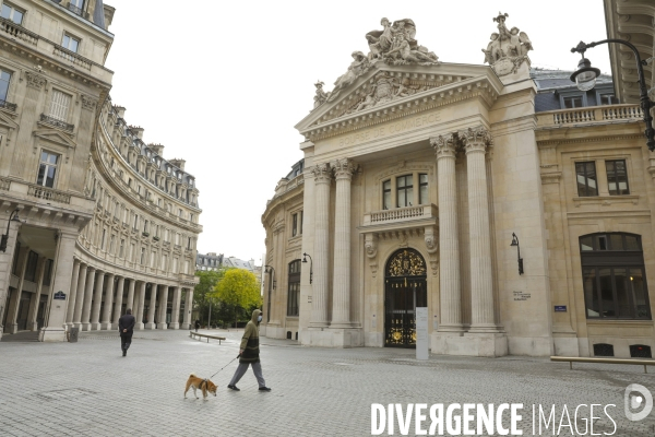 Ouverture de la bourse du commerce, nouveau musee de francois pinault