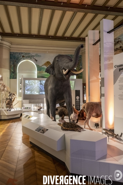 Réouverture des Musées à Marseille