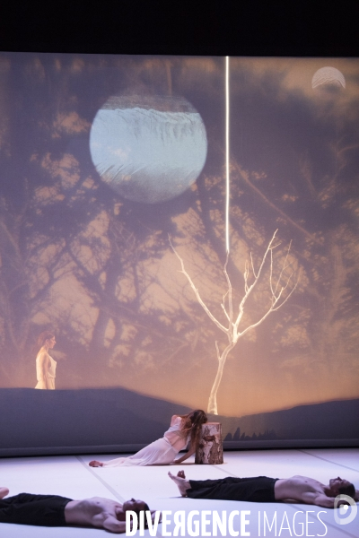 The TREE (Fragments of poetics on fire) de  Carolyn Carlson