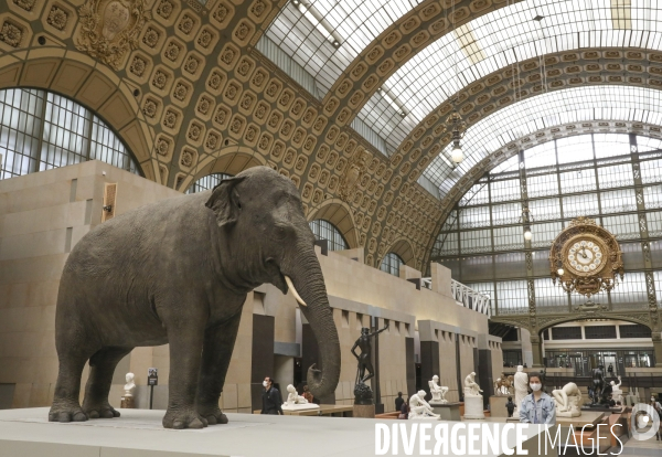 Exposition les origines du monde au musee d orsay