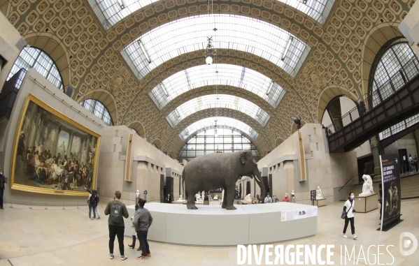 Exposition les origines du monde au musee d orsay