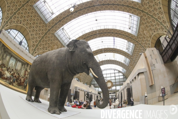 Exposition les origines du monde au musee d orsay