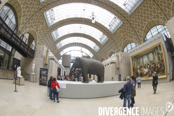 Exposition les origines du monde au musee d orsay