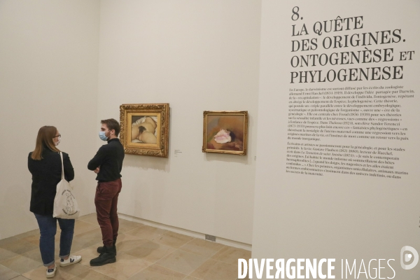 Exposition les origines du monde au musee d orsay