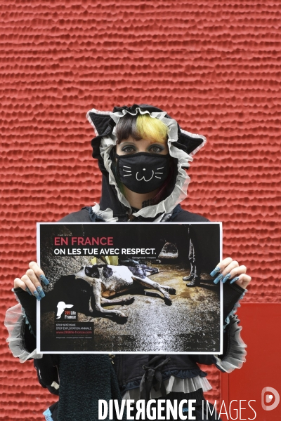 Protection animale, happening pour dénoncer les conditions de vie et de mort des animaux d élevage, organisée par 269 Life France. Animal protection against animal testing.