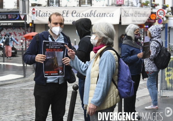 Protection animale, happening pour dénoncer les conditions de vie et de mort des animaux d élevage, organisée par 269 Life France. Animal protection against animal testing.