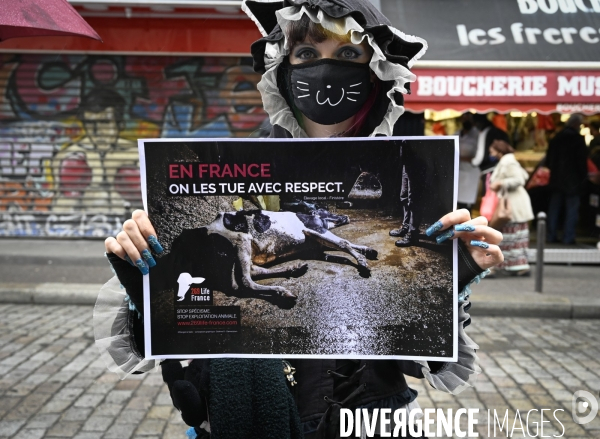 Protection animale, happening pour dénoncer les conditions de vie et de mort des animaux d élevage, organisée par 269 Life France. Animal protection against animal testing.