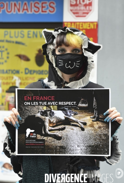 Protection animale, happening pour dénoncer les conditions de vie et de mort des animaux d élevage, organisée par 269 Life France. Animal protection against animal testing.