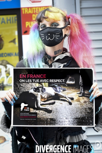 Protection animale, happening pour dénoncer les conditions de vie et de mort des animaux d élevage, organisée par 269 Life France. Animal protection against animal testing.