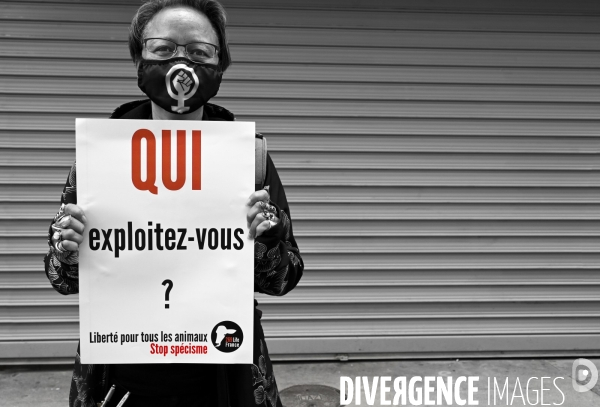 Protection animale, happening pour dénoncer les conditions de vie et de mort des animaux d élevage, organisée par 269 Life France. Animal protection against animal testing.