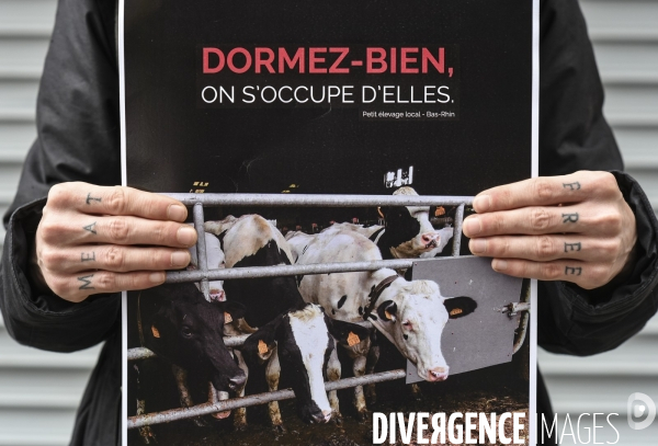 Protection animale, happening pour dénoncer les conditions de vie et de mort des animaux d élevage, organisée par 269 Life France. Animal protection against animal testing.