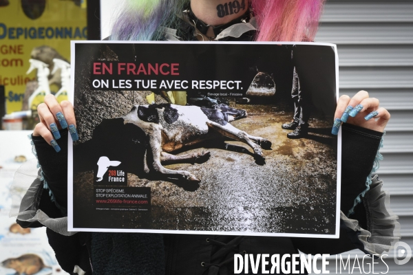Protection animale, happening pour dénoncer les conditions de vie et de mort des animaux d élevage, organisée par 269 Life France. Animal protection against animal testing.