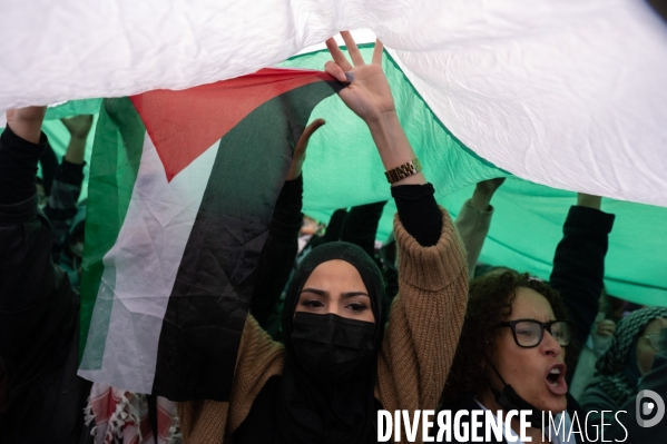 Manifestation de soutien au peuple palestinien