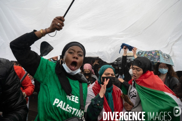 Manifestation de soutien au peuple palestinien