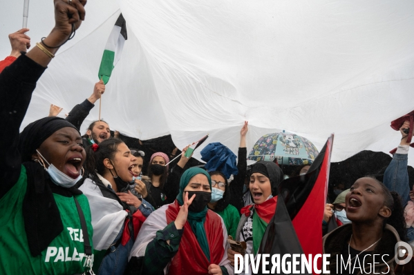 Manifestation de soutien au peuple palestinien