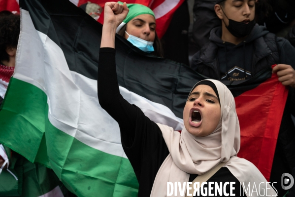 Manifestation de soutien au peuple palestinien