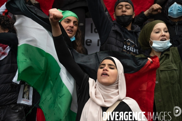 Manifestation de soutien au peuple palestinien