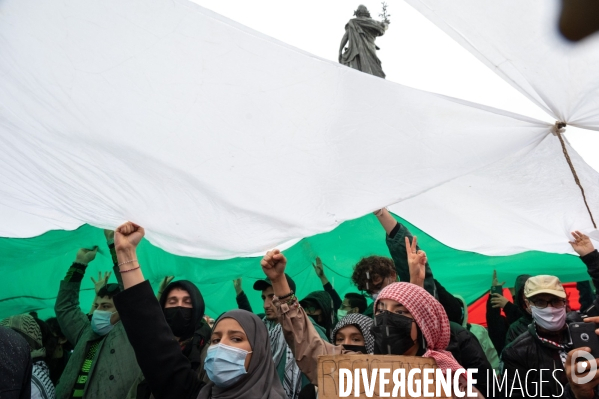 Manifestation de soutien au peuple palestinien