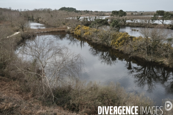 Réserve ornithologique du Teich sur le Bassin d Arcachon