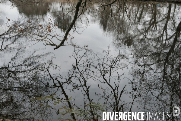 Réserve ornithologique du Teich sur le Bassin d Arcachon