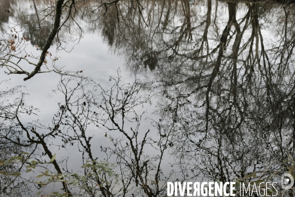 Réserve ornithologique du Teich sur le Bassin d Arcachon