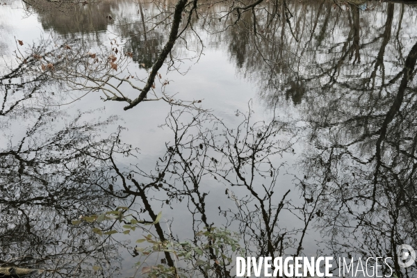 Réserve ornithologique du Teich sur le Bassin d Arcachon