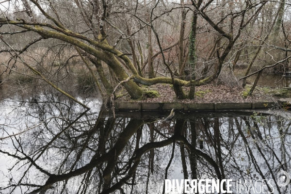 Réserve ornithologique du Teich sur le Bassin d Arcachon