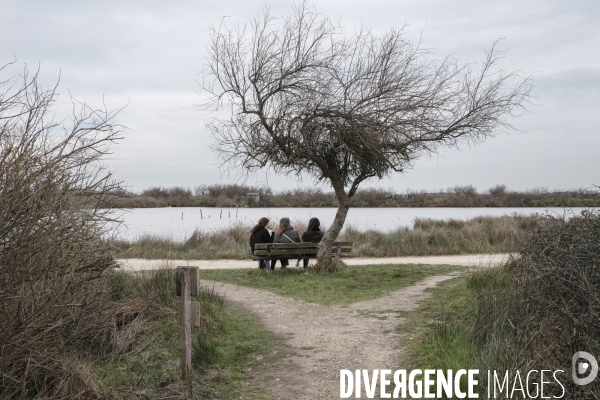 Réserve ornithologique du Teich sur le Bassin d Arcachon