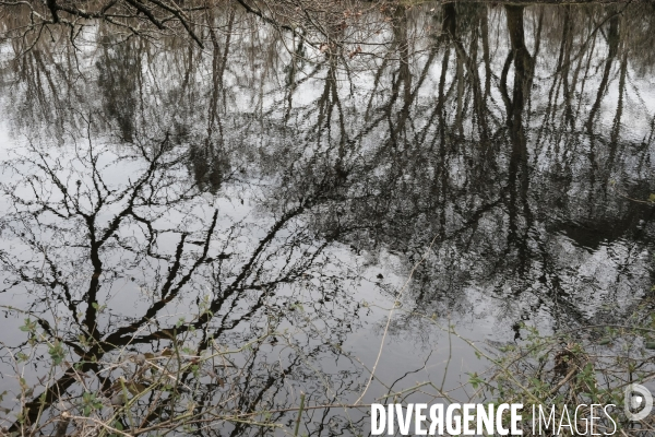 Réserve ornithologique du Teich sur le Bassin d Arcachon