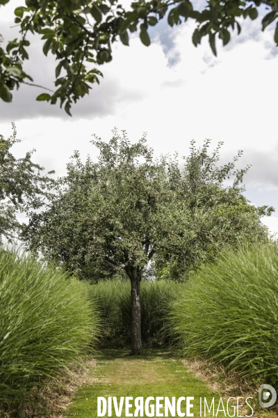 Le  Jardin Plume  a le label de jardin remarquable