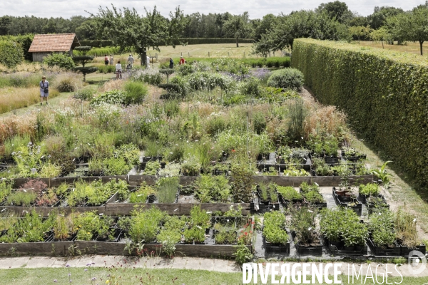 Le  Jardin Plume  a le label de jardin remarquable