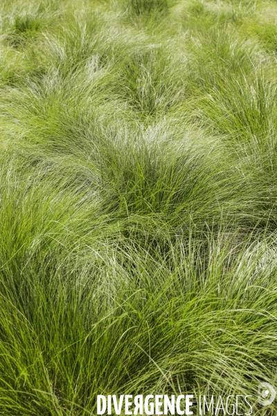 Le  Jardin Plume  a le label de jardin remarquable