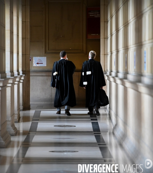 Illustration Avocat