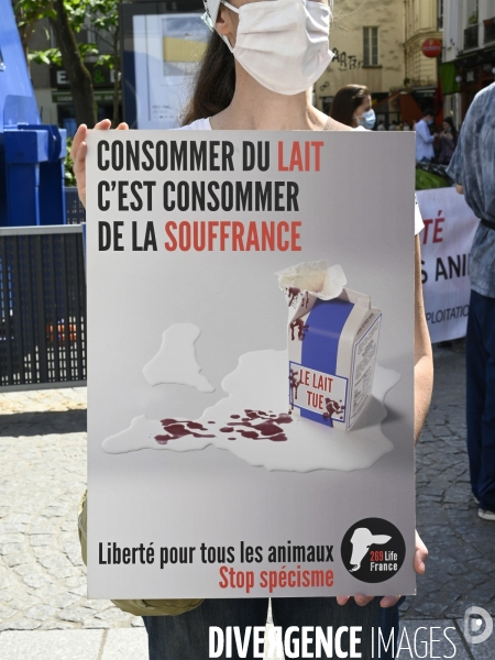 Protection animale, LE LAIT. Happening pour dénoncer la souffrance qui se cache derrière tous les laitages. Organisée par 269 Life France. Animal protection. THE MILK