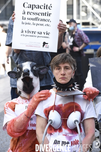 Protection animale, LE LAIT. Happening pour dénoncer la souffrance qui se cache derrière tous les laitages. Organisée par 269 Life France. Animal protection. THE MILK