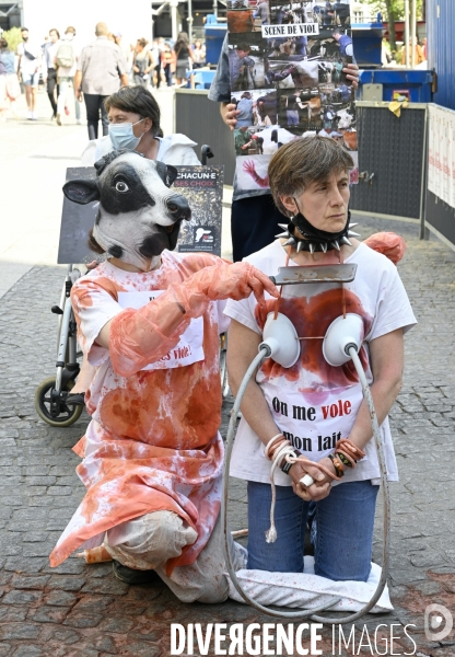 Protection animale, LE LAIT. Happening pour dénoncer la souffrance qui se cache derrière tous les laitages. Organisée par 269 Life France. Animal protection. THE MILK