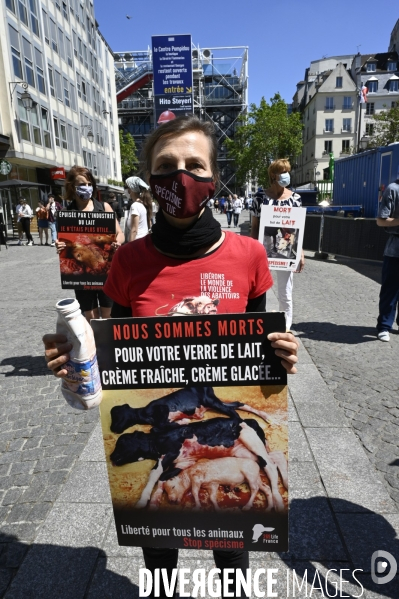 Protection animale, LE LAIT. Happening pour dénoncer la souffrance qui se cache derrière tous les laitages. Organisée par 269 Life France. Animal protection. THE MILK