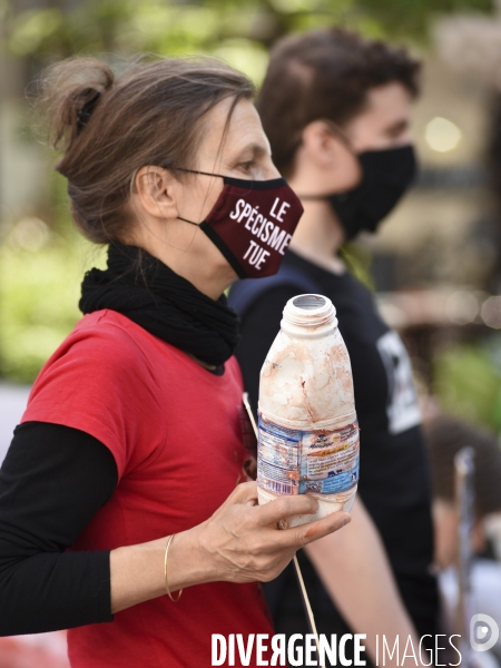 Protection animale, LE LAIT. Happening pour dénoncer la souffrance qui se cache derrière tous les laitages. Organisée par 269 Life France. Animal protection. THE MILK