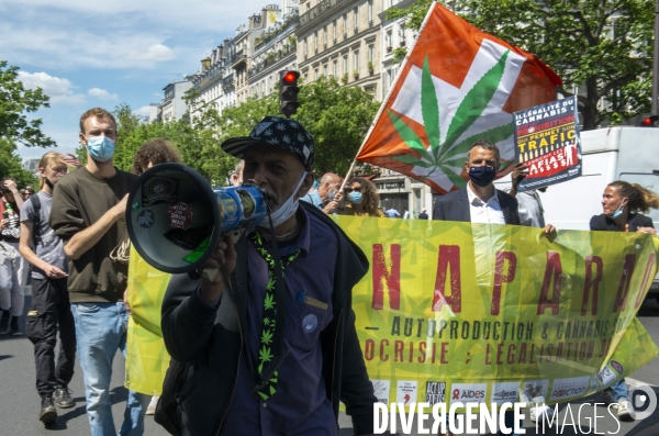 Cana Parade pour la légalisation