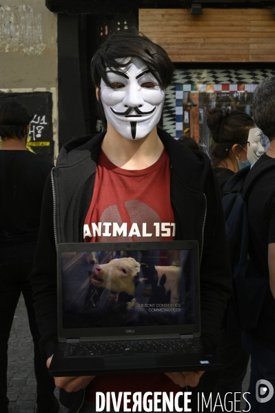 Protection animale, ANONYMOUS FOR THE VOICELESS. THE CUBE OF TRUTH dénonce la souffrance animale, les conditions de vie et de mort infligées par l humain. Animal protection.