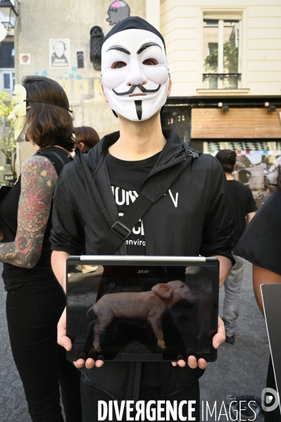 Protection animale, ANONYMOUS FOR THE VOICELESS. THE CUBE OF TRUTH dénonce la souffrance animale, les conditions de vie et de mort infligées par l humain. Animal protection.