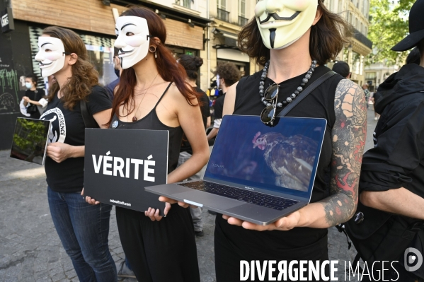 Protection animale, ANONYMOUS FOR THE VOICELESS. THE CUBE OF TRUTH dénonce la souffrance animale, les conditions de vie et de mort infligées par l humain. Animal protection.