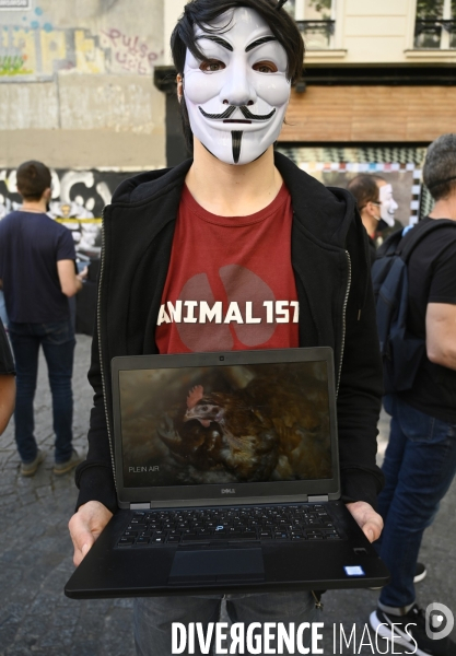 Protection animale, ANONYMOUS FOR THE VOICELESS. THE CUBE OF TRUTH dénonce la souffrance animale, les conditions de vie et de mort infligées par l humain. Animal protection.