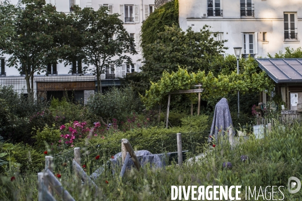 Exiles installes au jardin villemin, paris.