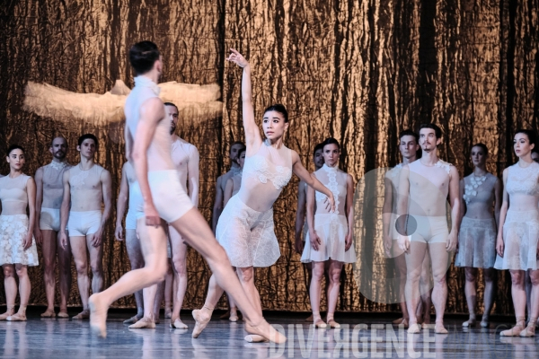 Le Lac des cygnes / Radhouane El Meddeb / Ballet de l Opéra national du Rhin