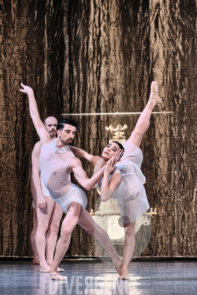 Le Lac des cygnes / Radhouane El Meddeb / Ballet de l Opéra national du Rhin