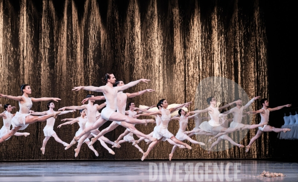 Le Lac des cygnes / Radhouane El Meddeb / Ballet de l Opéra national du Rhin