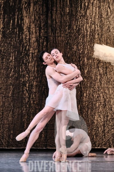 Le Lac des cygnes / Radhouane El Meddeb / Ballet de l Opéra national du Rhin