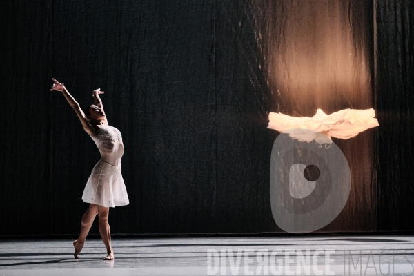 Le Lac des cygnes / Radhouane El Meddeb / Ballet de l Opéra national du Rhin